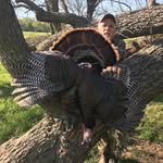Darrell Tice - @ticedarrell - Instagram