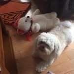 Darrel Tolley - @tolleydarrel - Instagram