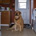 Darrell Tompkins - Facebook