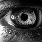 Darrell Toomey - Facebook