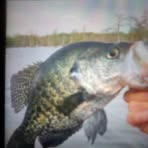 Darrell Touchet - Facebook