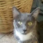 Darrell Gordon Trombley - @godagrees - Instagram