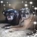 Darrell Tremblay - Facebook