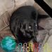 Darrel Trout - Facebook