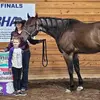 Danielle Truax592 - @danielletruax - TikTok