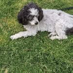 Darrell Vinson - @darrell.vinson999 - Instagram