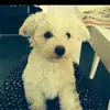 darrellwalker403 - @darrellwalker403 - TikTok