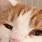 Darrell Welch - @darrell.welch.1048 - Instagram