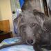 Darrel Whiteman - Facebook