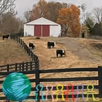 Darrell Wise - Facebook