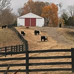 Darrell Wise - Facebook
