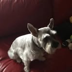 Darrell Wise - Facebook