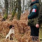 Darren Allison - @dazallison1 - Instagram