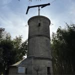 Darren Arnott - @darren_arnott - Instagram