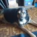 Darren Bain - Facebook