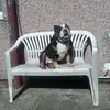 darrenbainbridge47 - @darrenbainbridge47 - TikTok