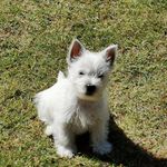 Darren Barker - @darren.barker - Instagram