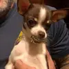 darrenashbaugh - @darrenashbaugh - TikTok