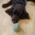 Darren Baxter - @darren.baxter.96 - Instagram
