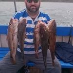 Darren Baxter - @bidster74 - Instagram