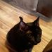 Darien Massey-Beaver - Facebook