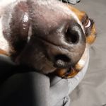 @darren_becker47 - Instagram
