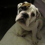 Darren Beeson - @darren.beeson - Instagram