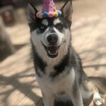 Darren Benson - @darren.benson.1675 - Instagram
