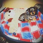 the real darren benson - @the_real_darren_benson - Instagram