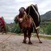 Berat Turan - Facebook