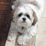 Darren Blank - @blank_3.0 - Instagram