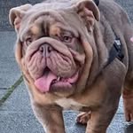 Darren Bone - @darrenbone23 - Instagram