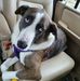 Darrin Bourque - Facebook