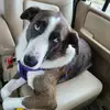 Darrin Bourque - @darrin.bourque - TikTok