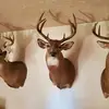 Darrin Boyer - @darrin.boyer - TikTok