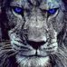 Darren Carbone - Facebook