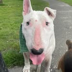 Darren Cardy - @darrencardy - Instagram