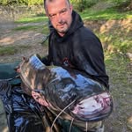 Darren Cardy - @cardydarren - Instagram