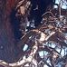 Darrin Chavez - Facebook