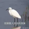 Darren_Cheng - @Darren_Cheng - TikTok