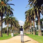 Darren Chiu - @chiu_darren000337 - Instagram