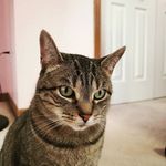 Darren Chiu - @darrenchiu77 - Instagram