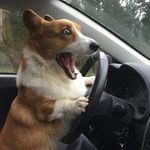 Darren Chiu - @darre_chiu - Instagram