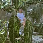 Darren.Chiu - @chiu.darren - Instagram