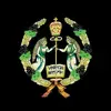 DarrenCobb - @berniwyg5n0 - TikTok