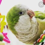 Darren Cohen - @gamethebestgamer - Instagram