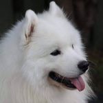 Darren Cohen - @darren.cohen.583 - Instagram