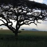 Darren Compton - @compsee77 - Instagram