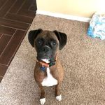 Darren Conley - @conley.darren - Instagram