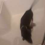 Darren Cooley - @darren.cooley.549 - Instagram